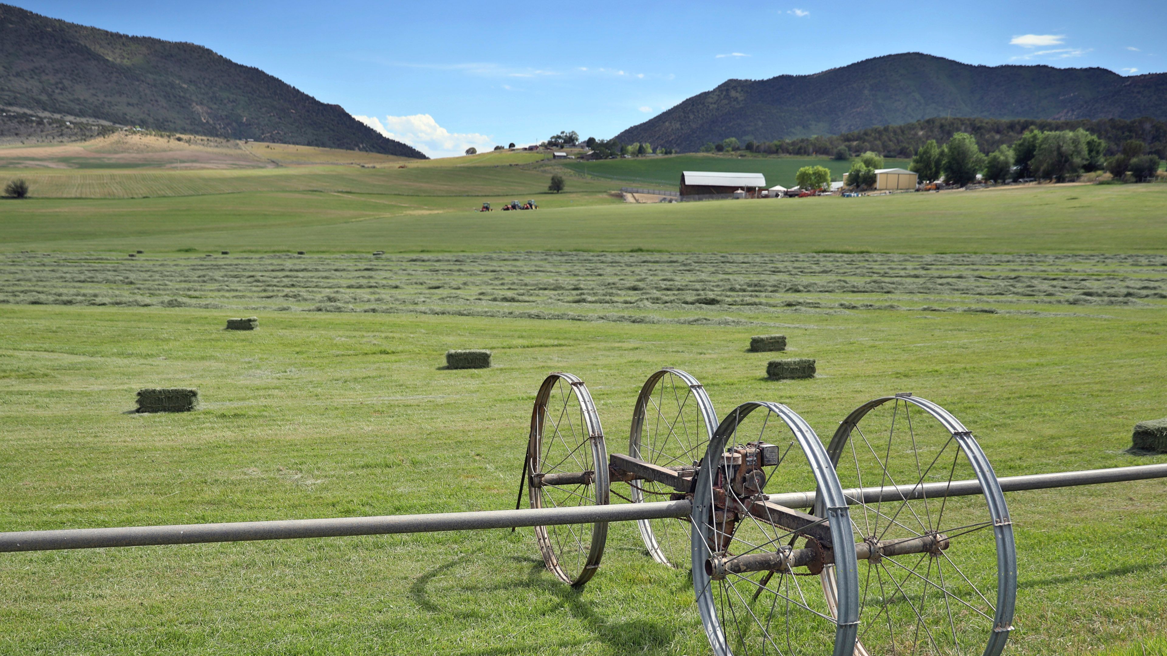 Wide view of a rural agricultural field with irrigation equipment and mountains visible in the distance