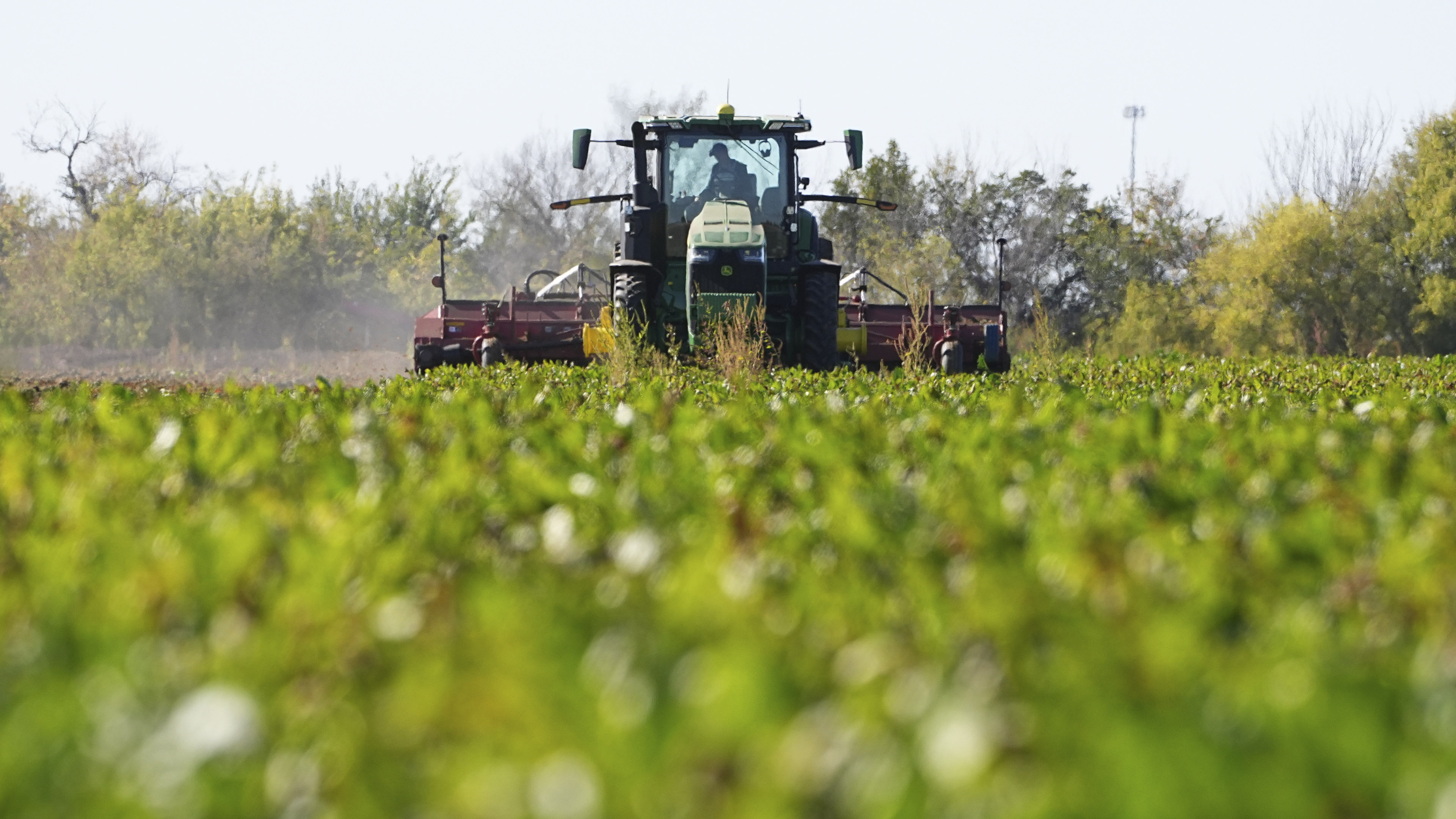 Green tractor with a driver inside pulls a wide tillage implement across a lush green field, viewed head-on at ground level under a clear sky.