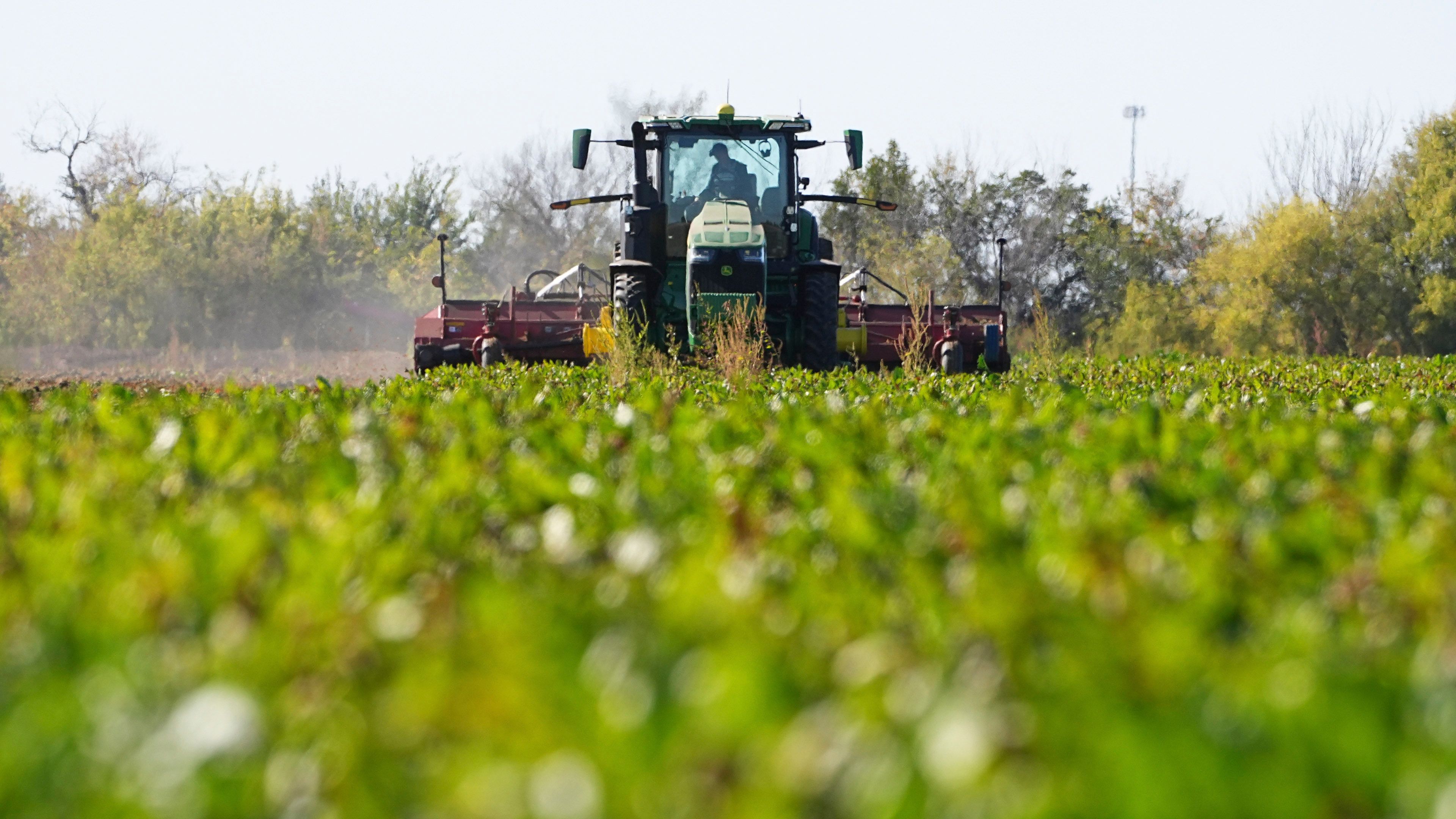 Green tractor with a driver inside pulls a wide tillage implement across a lush green field, viewed head-on at ground level under a clear sky.
