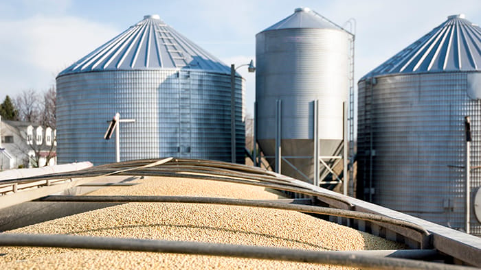 Photo of a railcar filled with soybeans in the foreground, with several large silver grain bins under a bright sky in the background.
