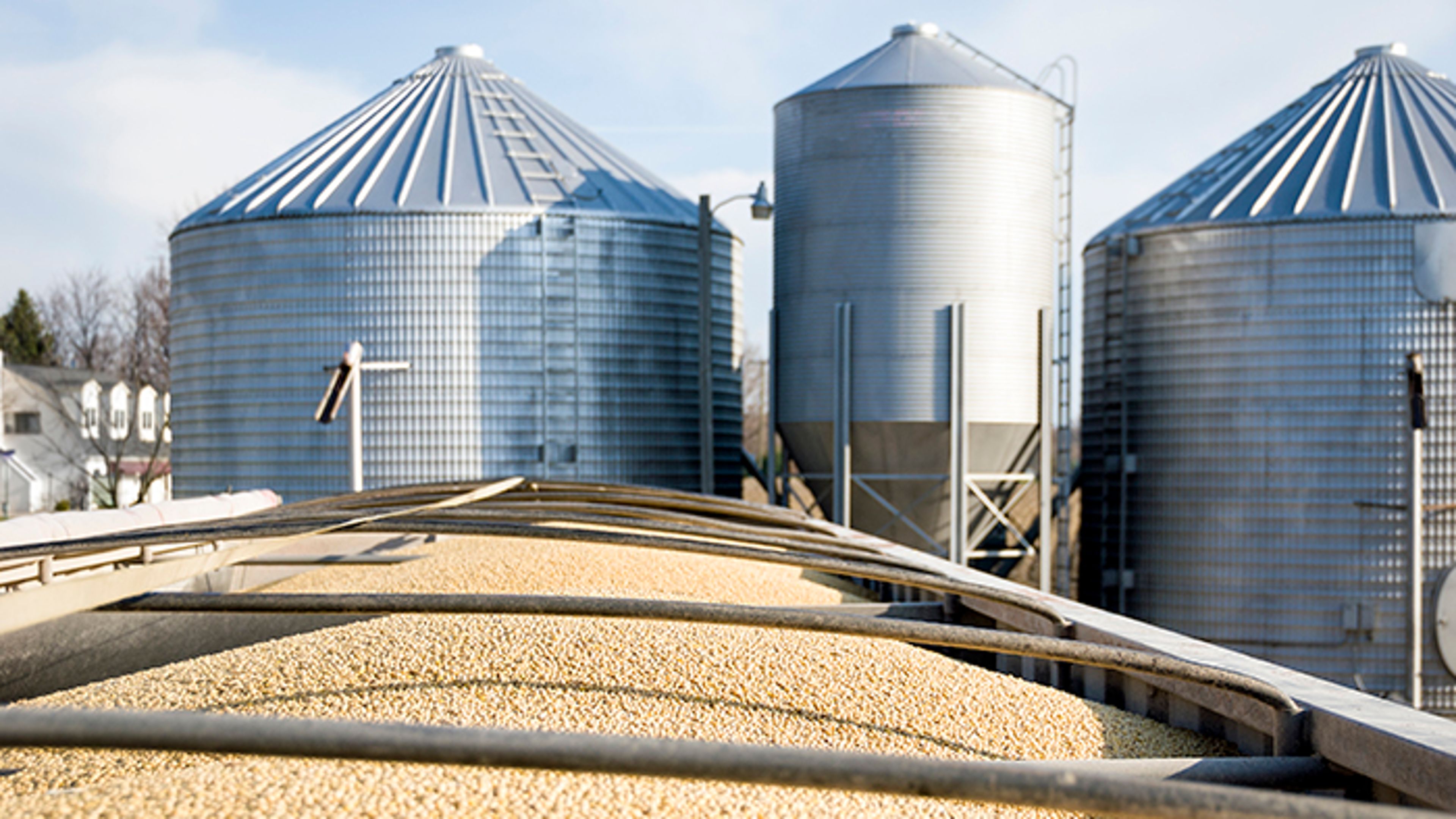 Photo of a railcar filled with soybeans in the foreground, with several large silver grain bins under a bright sky in the background.