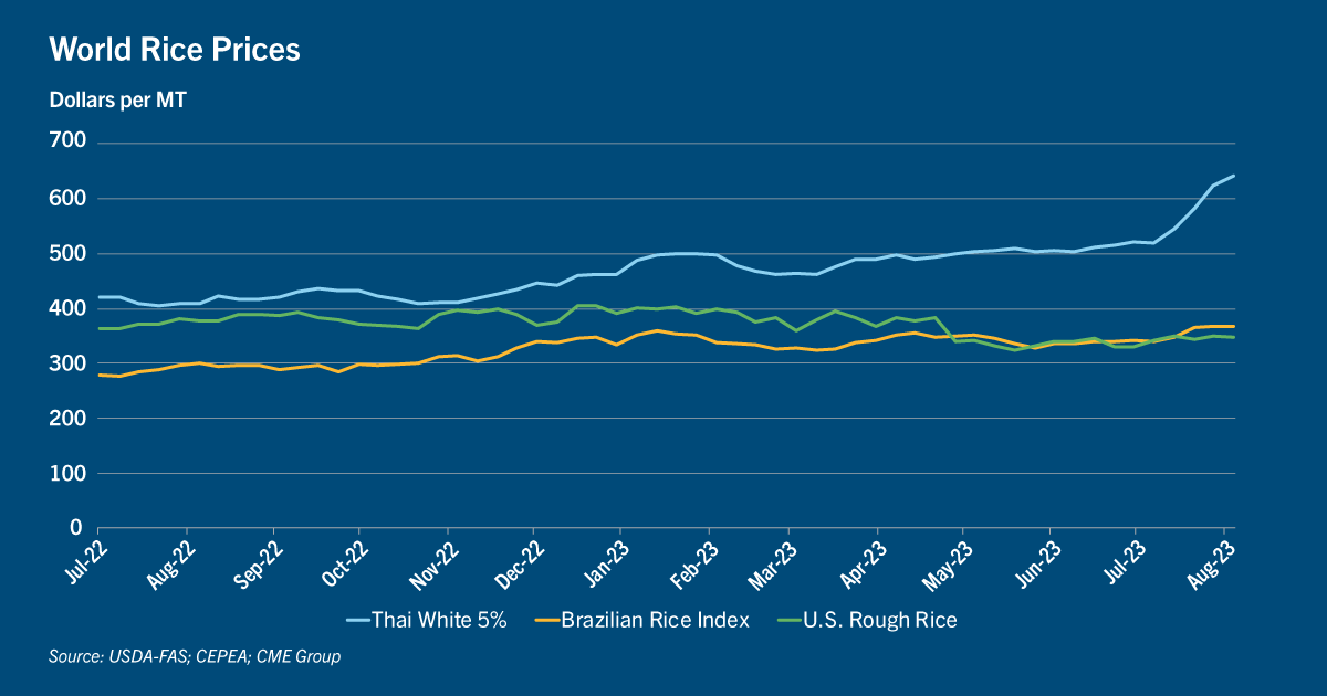 India-Rice-Ban-Ex2.png