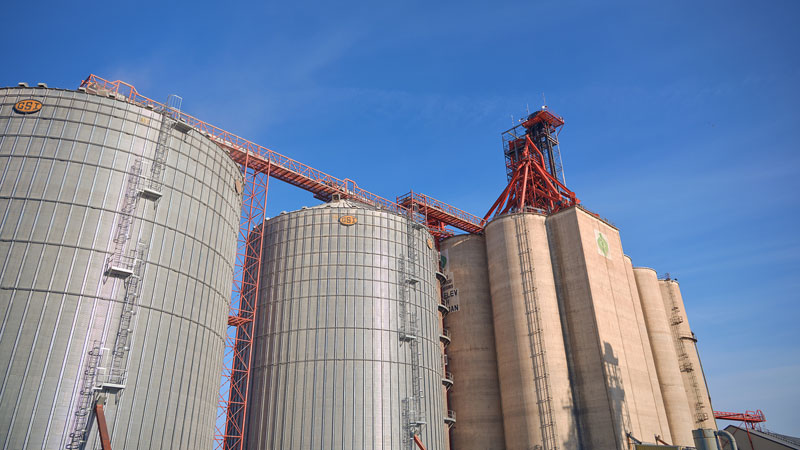 Grain elevator and bins