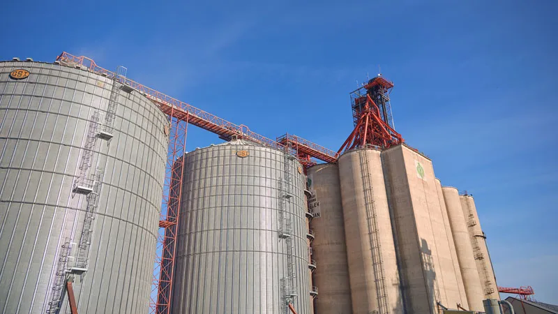 Grain elevator and bins