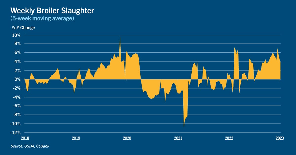 Chart: Weekly broiler slaughter