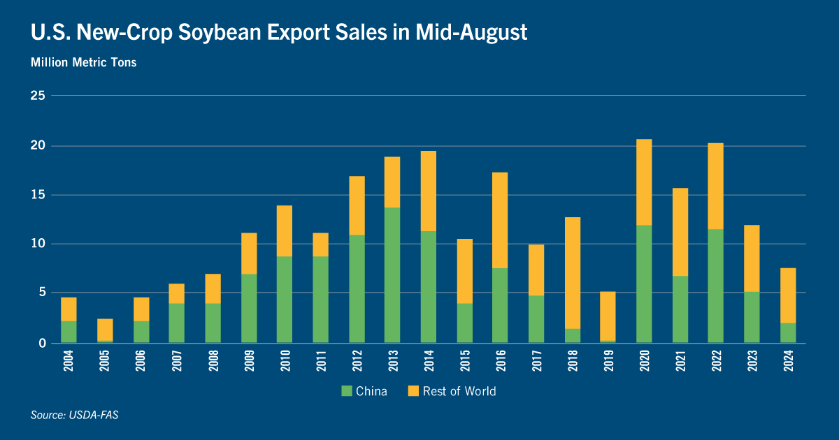Chart: U.S. new-crop soybean export sales in mid-August