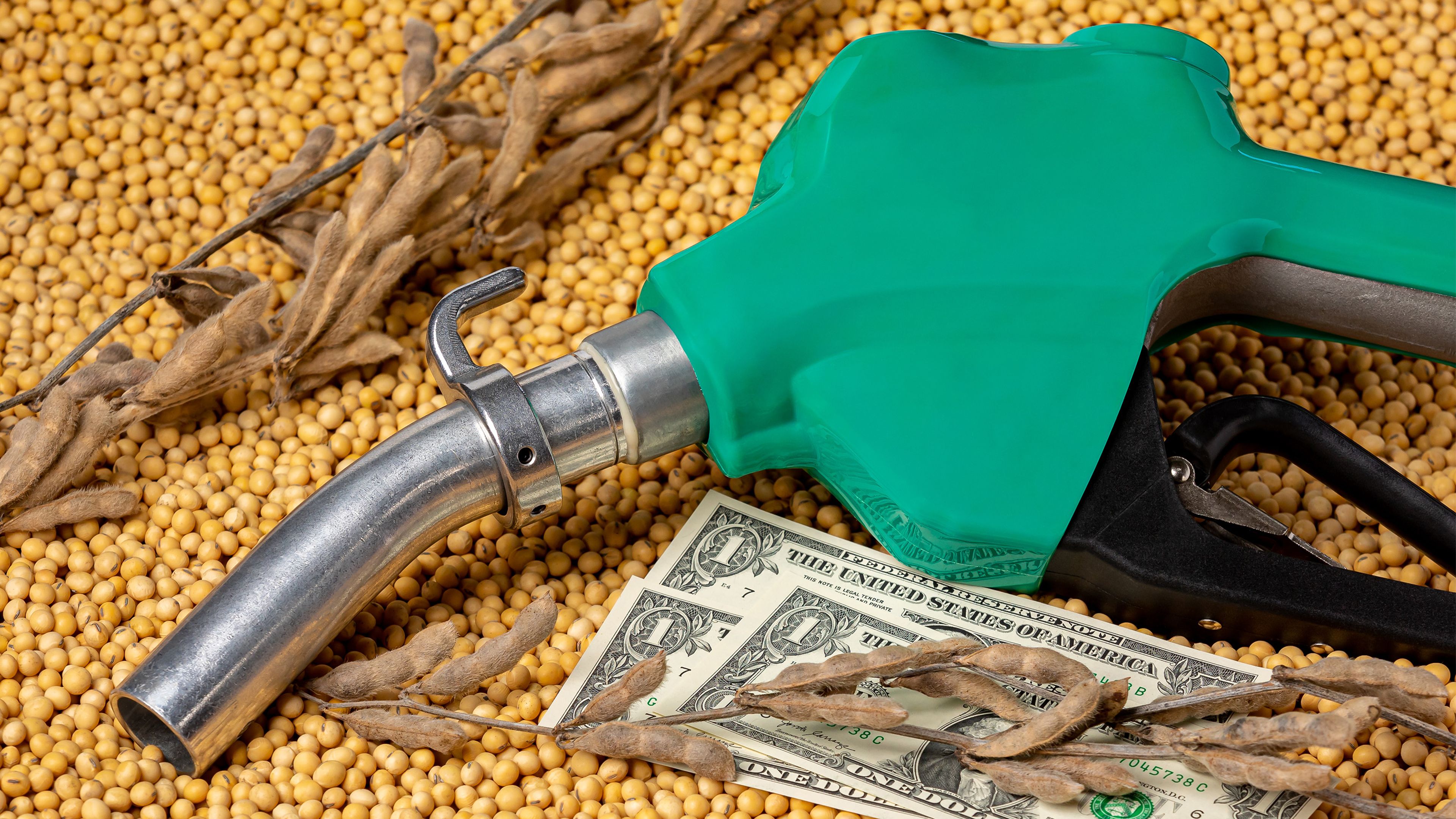Green fuel nozzle and a few dollar bills laying on bed of soybeans