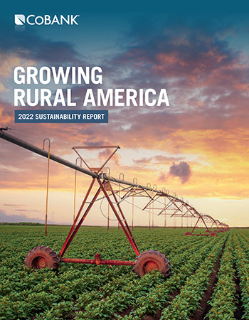 2022 sustainability report cover