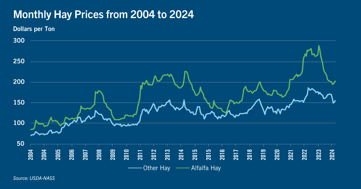 Chart: Monthly hay prices from 2004 to 2024