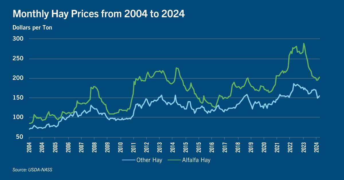 Chart: Monthly hay prices from 2004 to 2024
