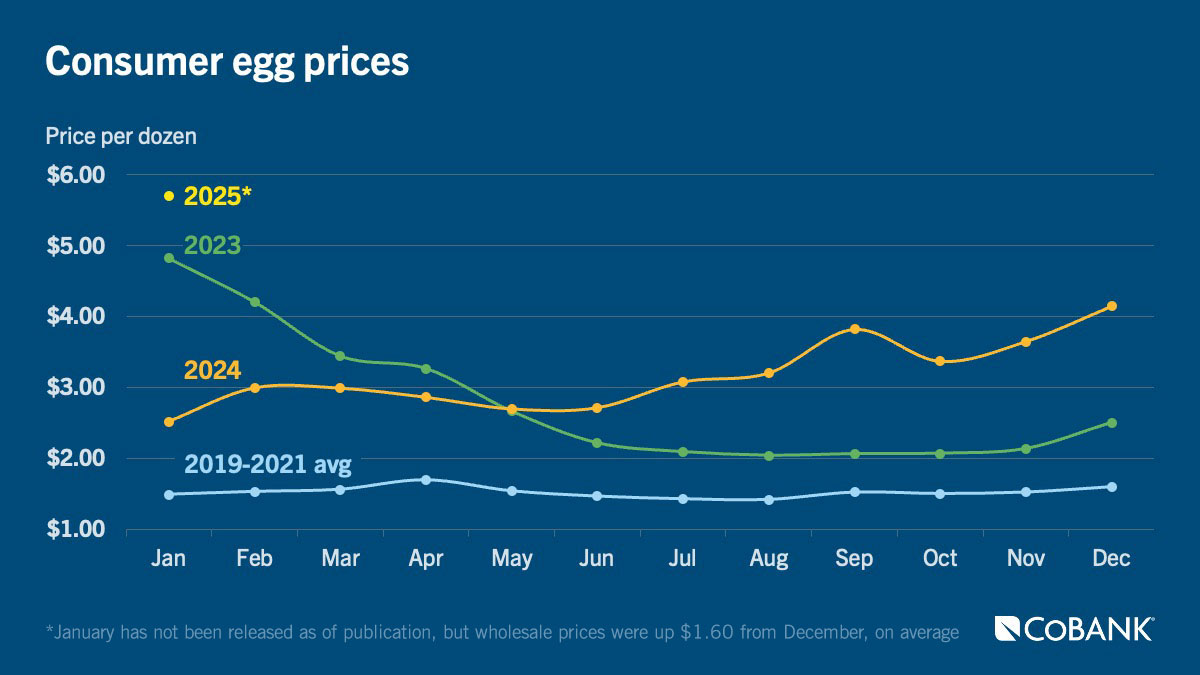 Chart: Consumer egg prices