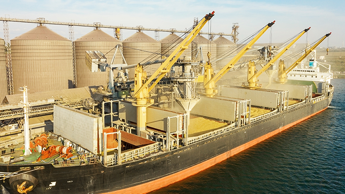 Grain being loaded onto a transport freighter