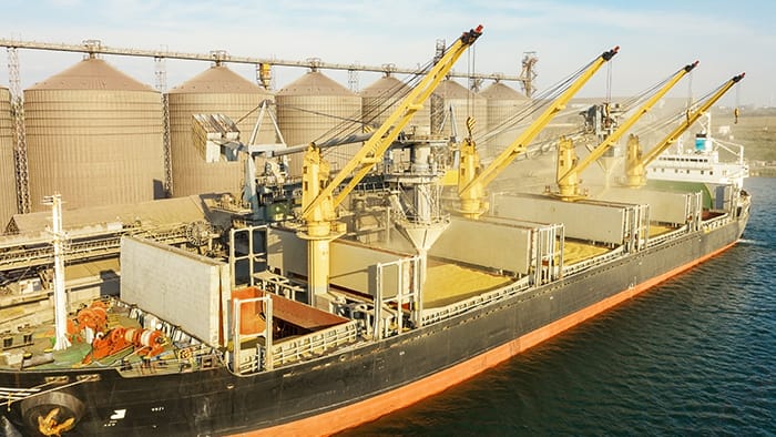 Grain being loaded onto a transport freighter