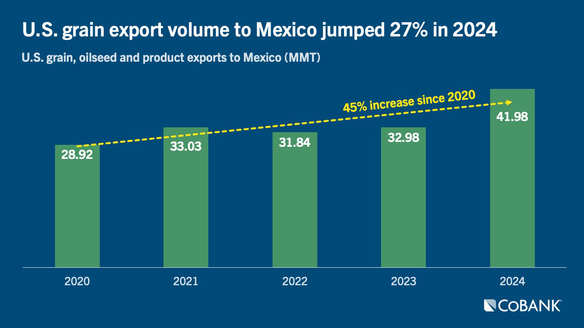 Chart: U.S. grain export volume to Mexico jumped 27% in 2024