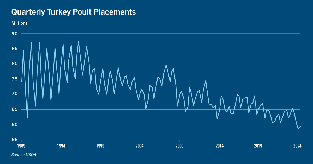 Chart: Quarterly turkey poult placements