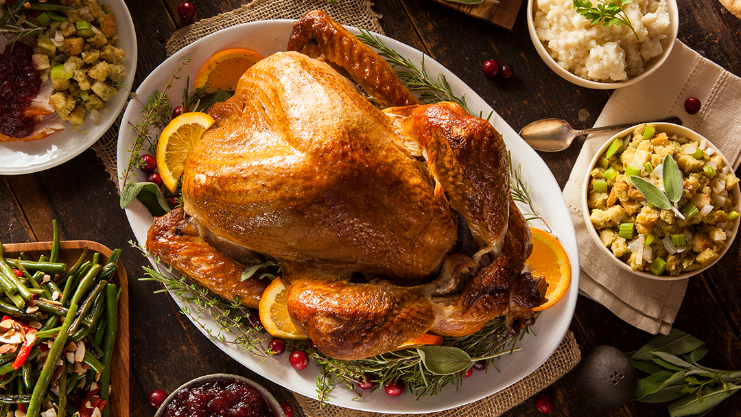 Thanksgiving turkey