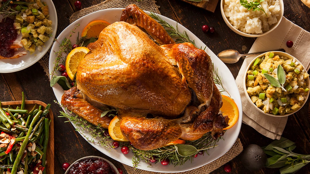 Thanksgiving turkey