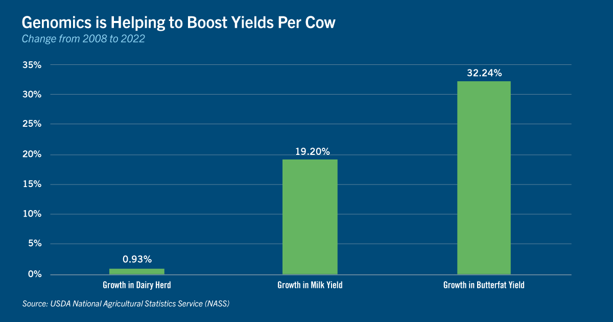 Chart of genomics is helping to boost yields per cow
