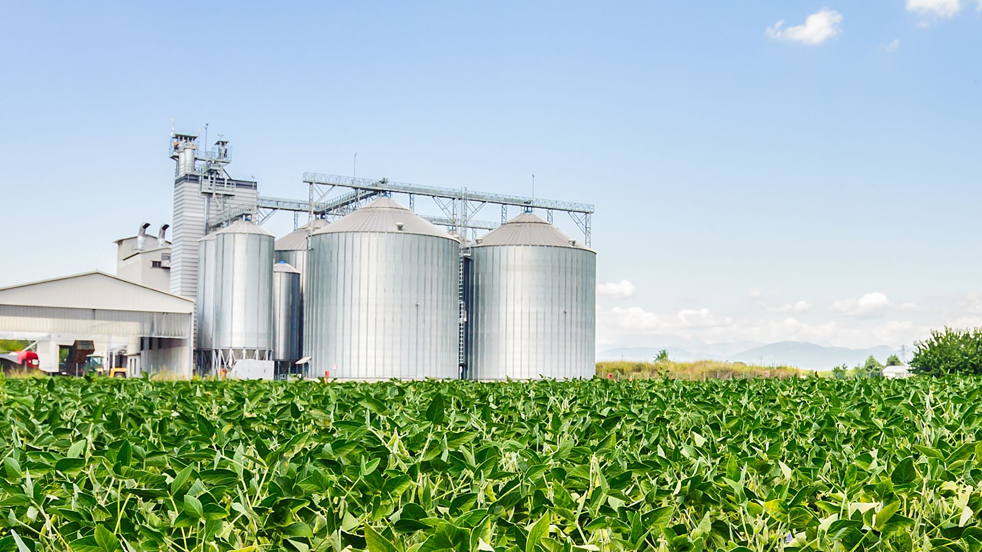 Rising cost of carry will force co-op grain elevators to lower bids, widen basis