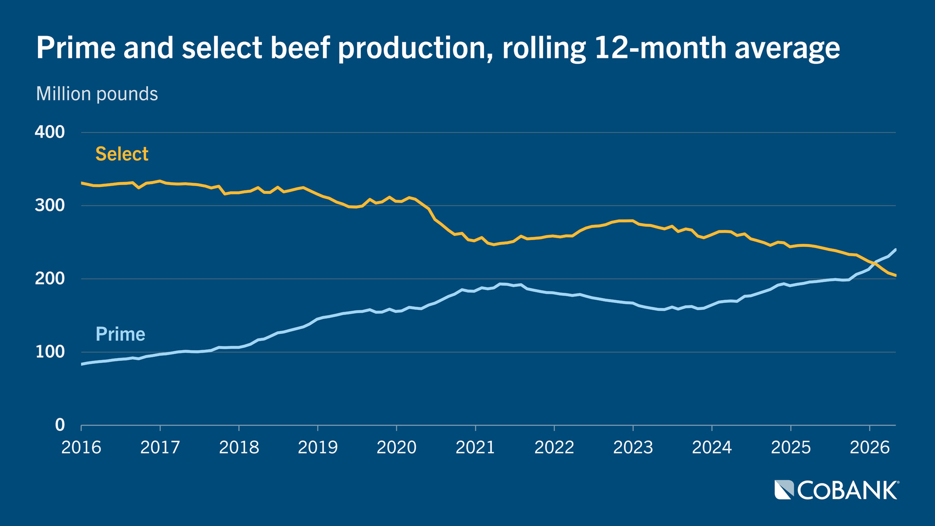 Line chart showing prime and select beef production, rolling 12-month average, from 2016 to 2026