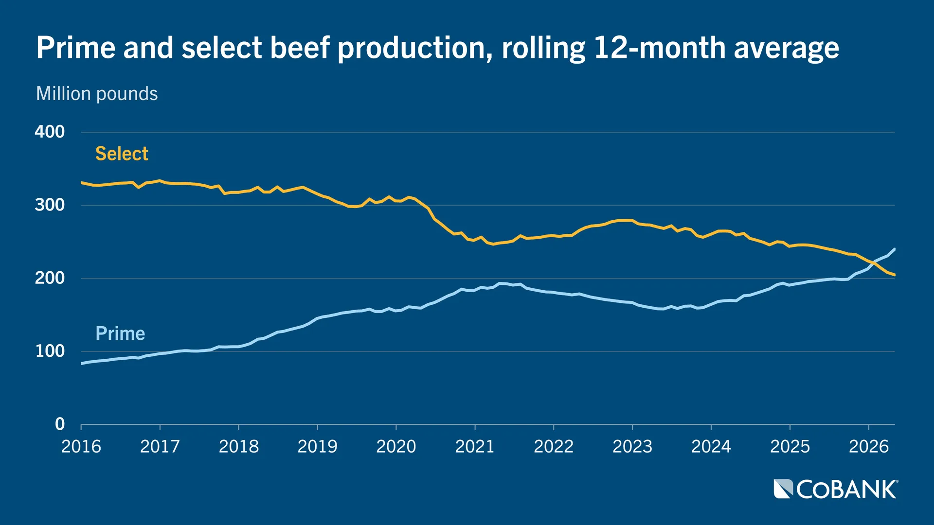 Line chart showing prime and select beef production, rolling 12-month average, from 2016 to 2026