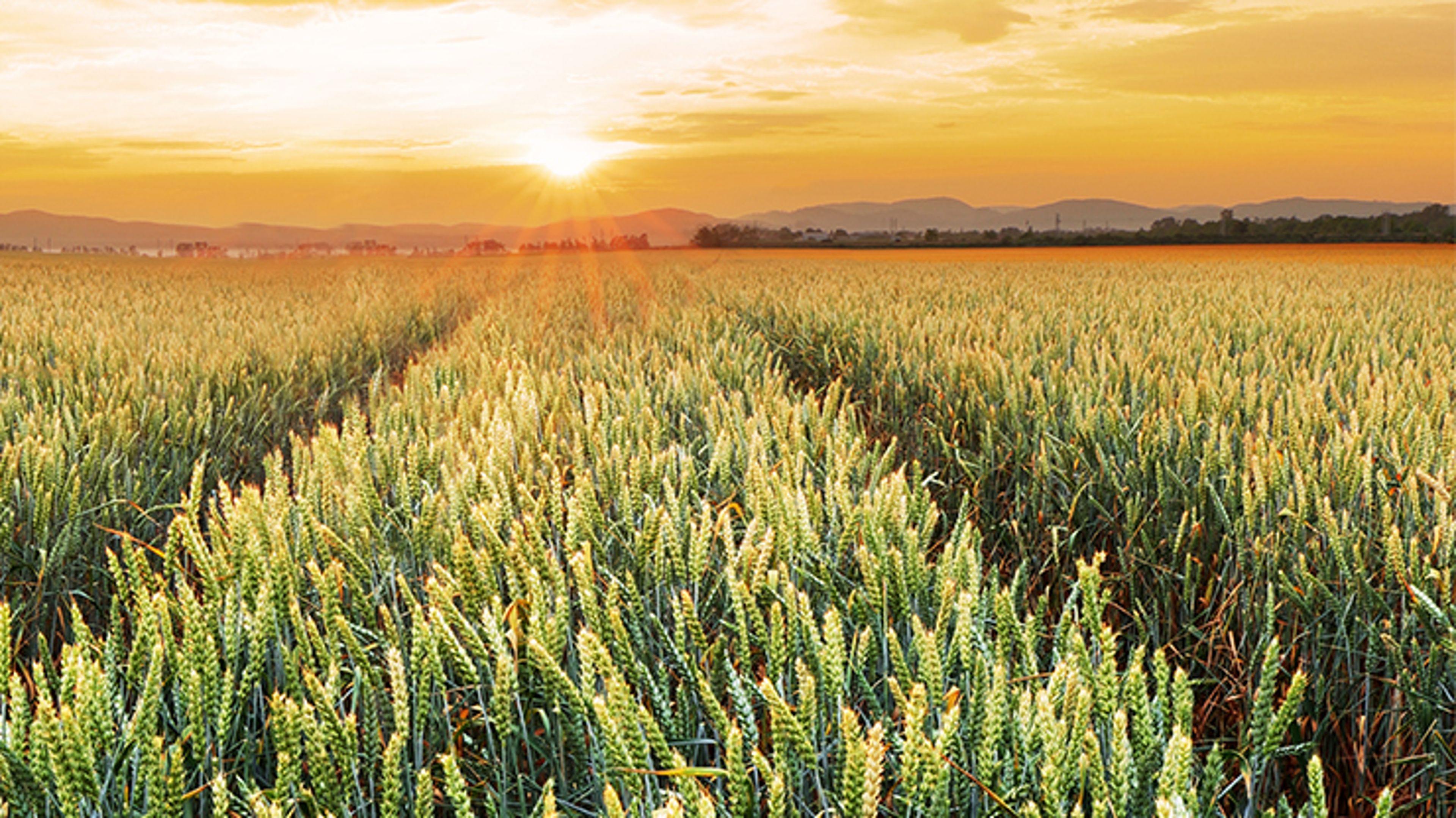 The Quarterly: As inflation and geopolitical concerns fade, domestic issues come to the fore