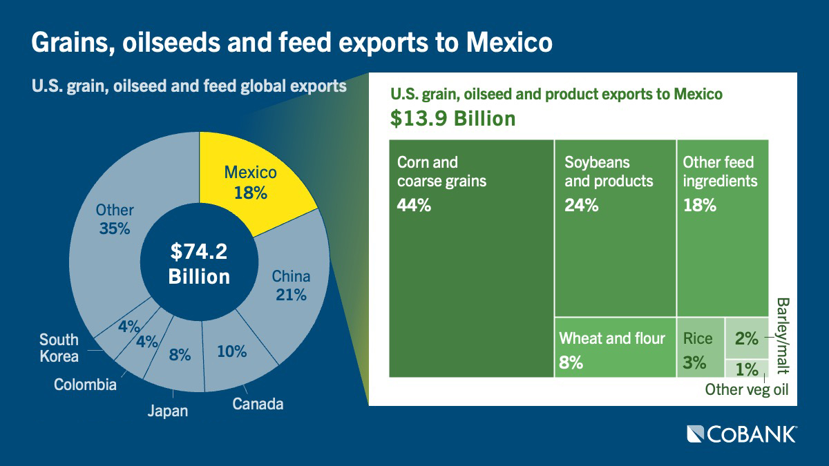 Chart: Grains, oilseeds and feed exports to Mexico