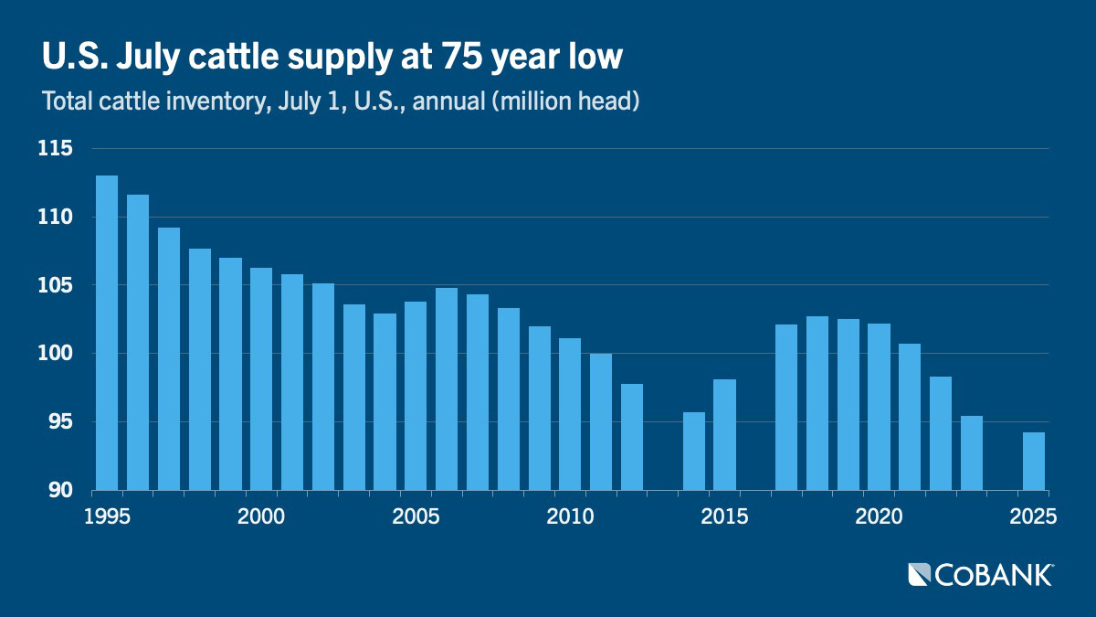 Chart: U.S. July cattle supply at 75 year low