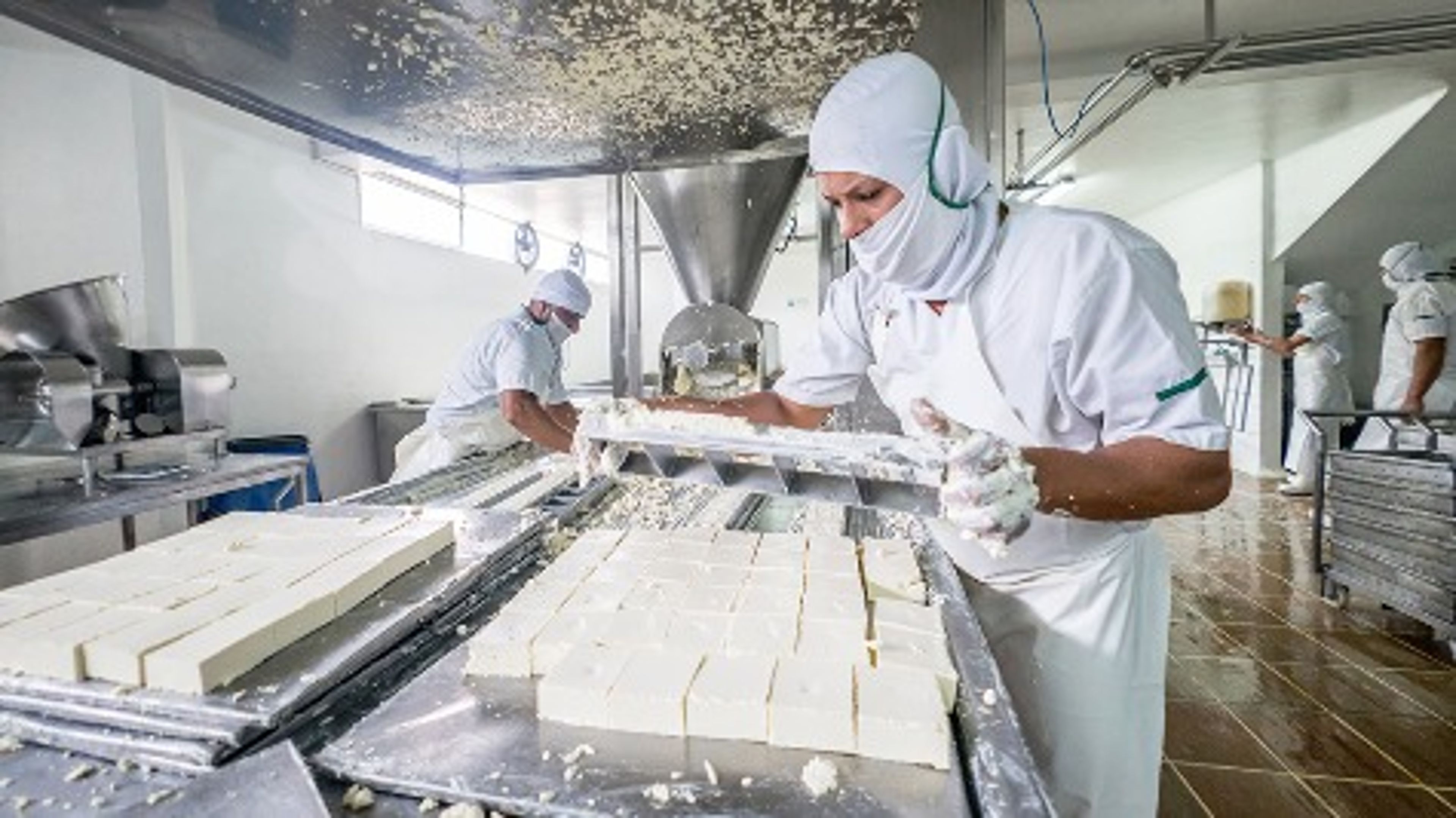 Dairy plant workers
