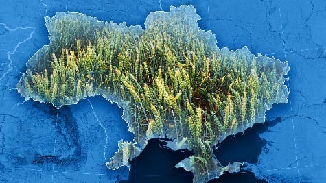 Ukraine grain: Tight stocks, price volatility likely for years
