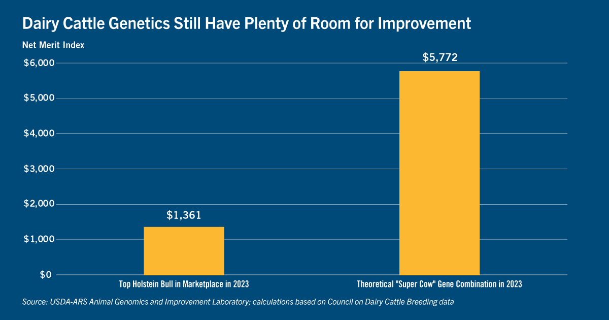 Chart: Dairy cattle genetics still have plenty of room for improvement