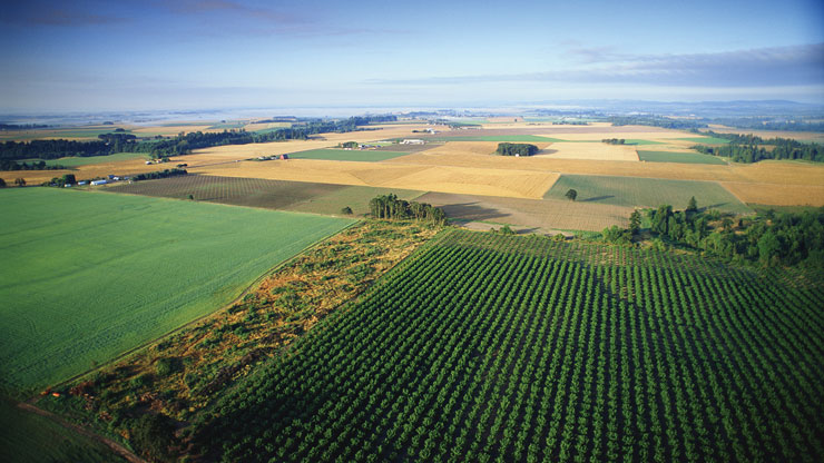 The Quarterly: “Higher for longer” a drag on rural economy