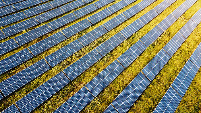 Solar farm