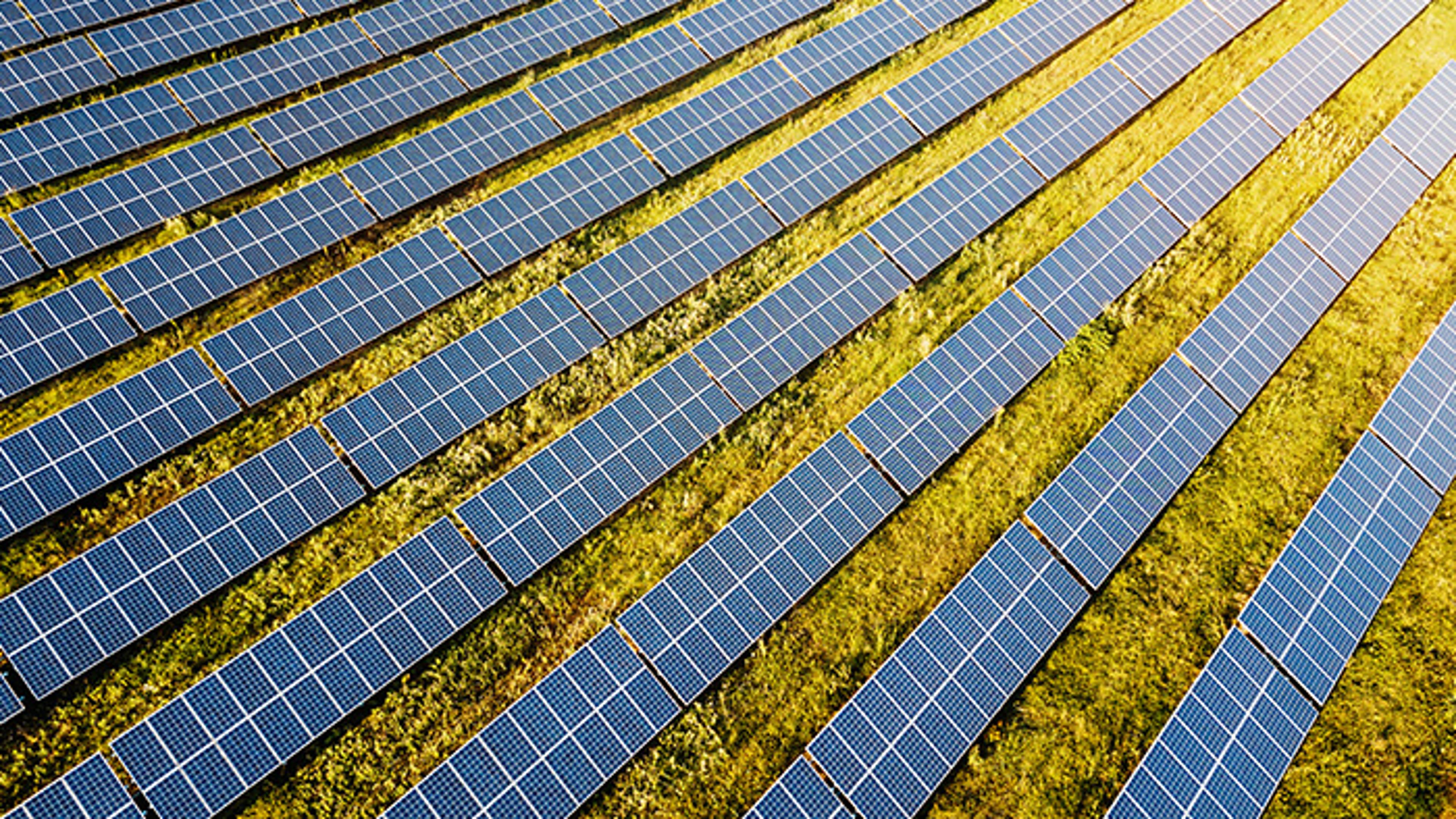 Solar farm