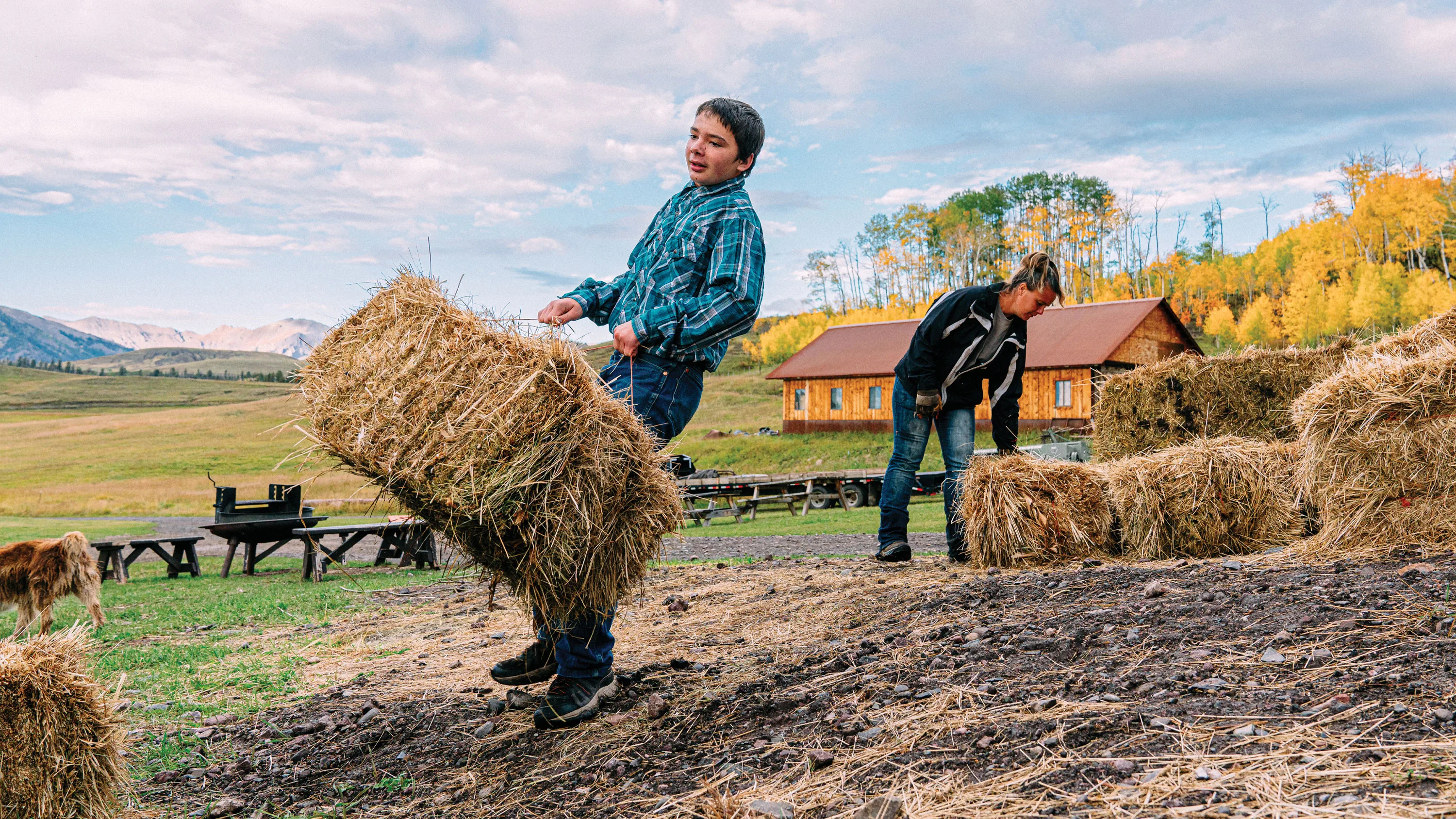 Person lifting a bale of hay in a rural field with farm equipment and stacked hay visible in the background