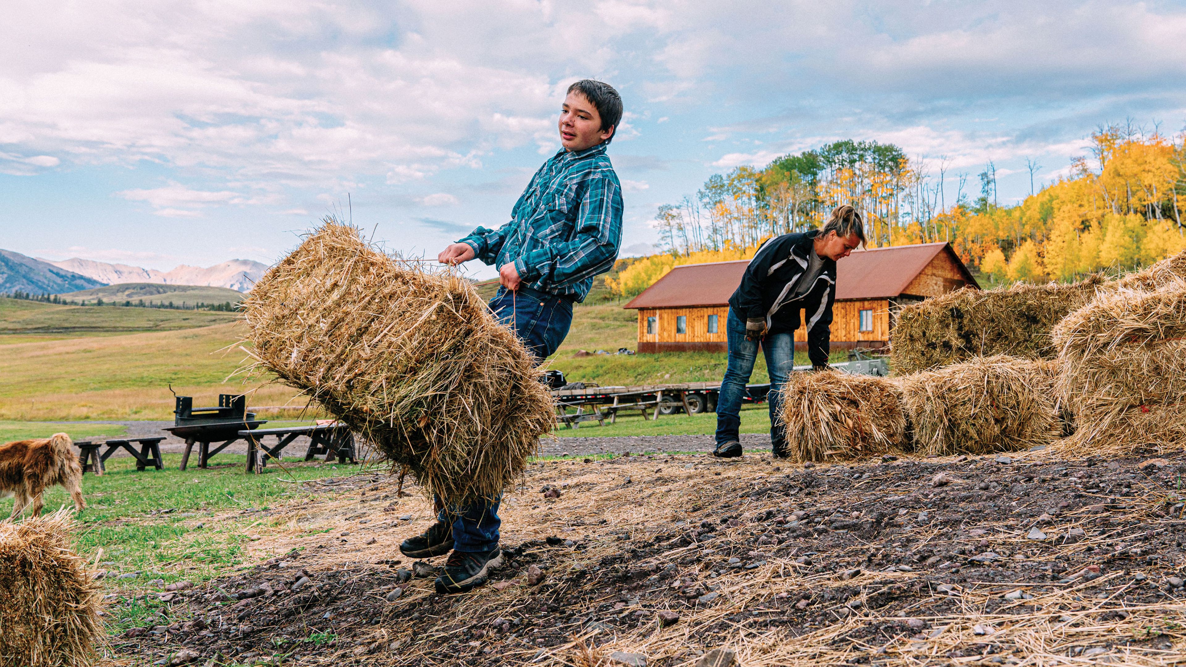 Person lifting a bale of hay in a rural field with farm equipment and stacked hay visible in the background