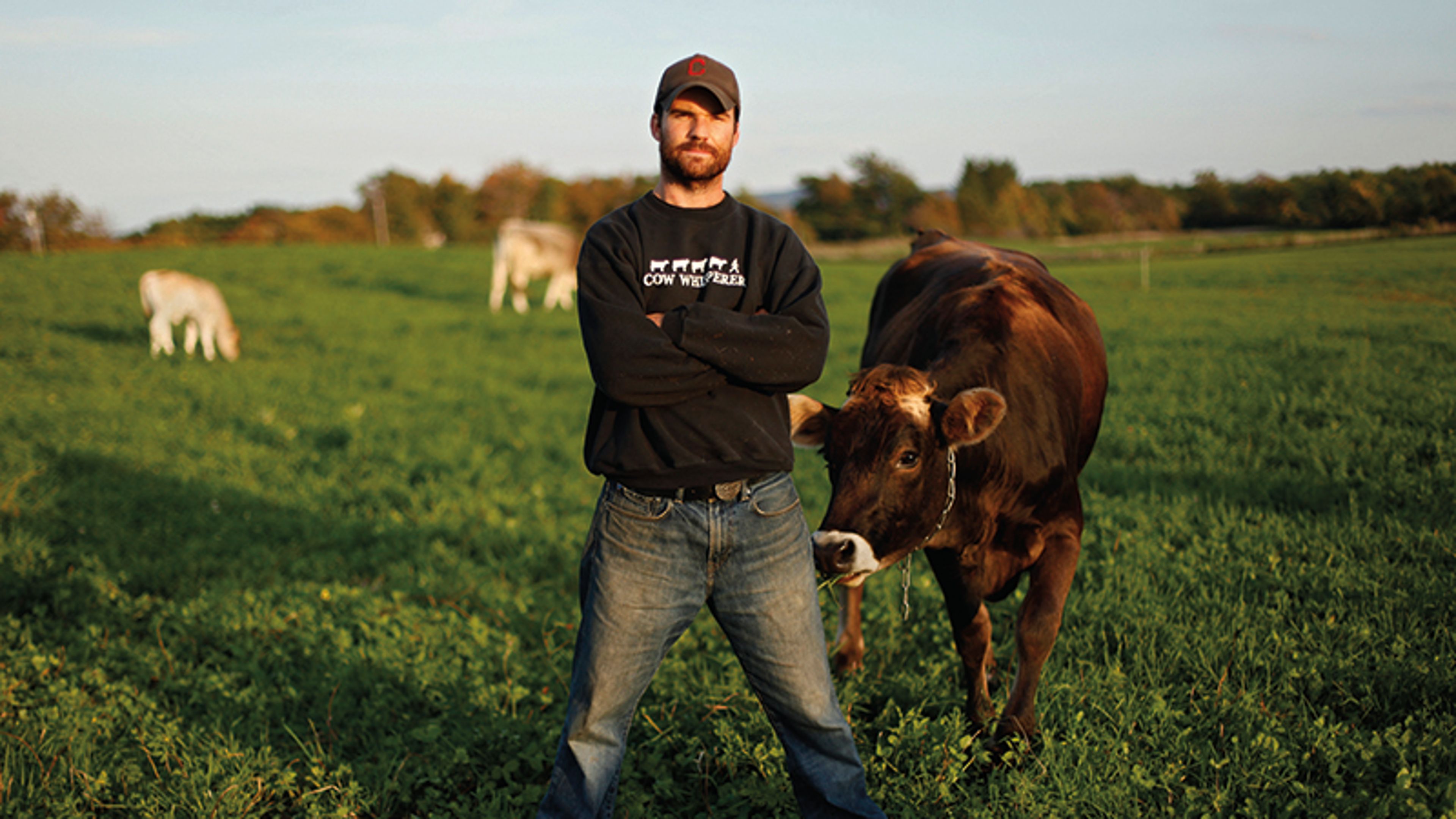 Farmer in a field next to a cow