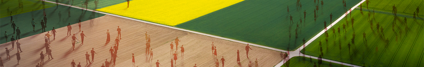 Aerial view of fields with people overlaid