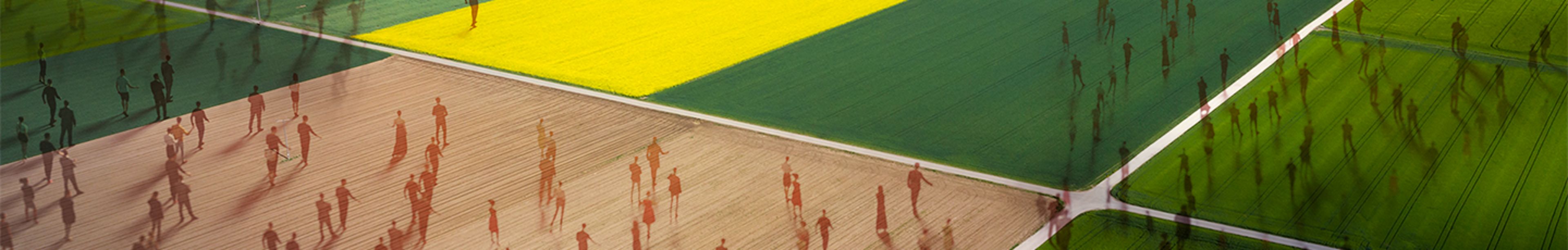 Aerial view of fields with people overlaid