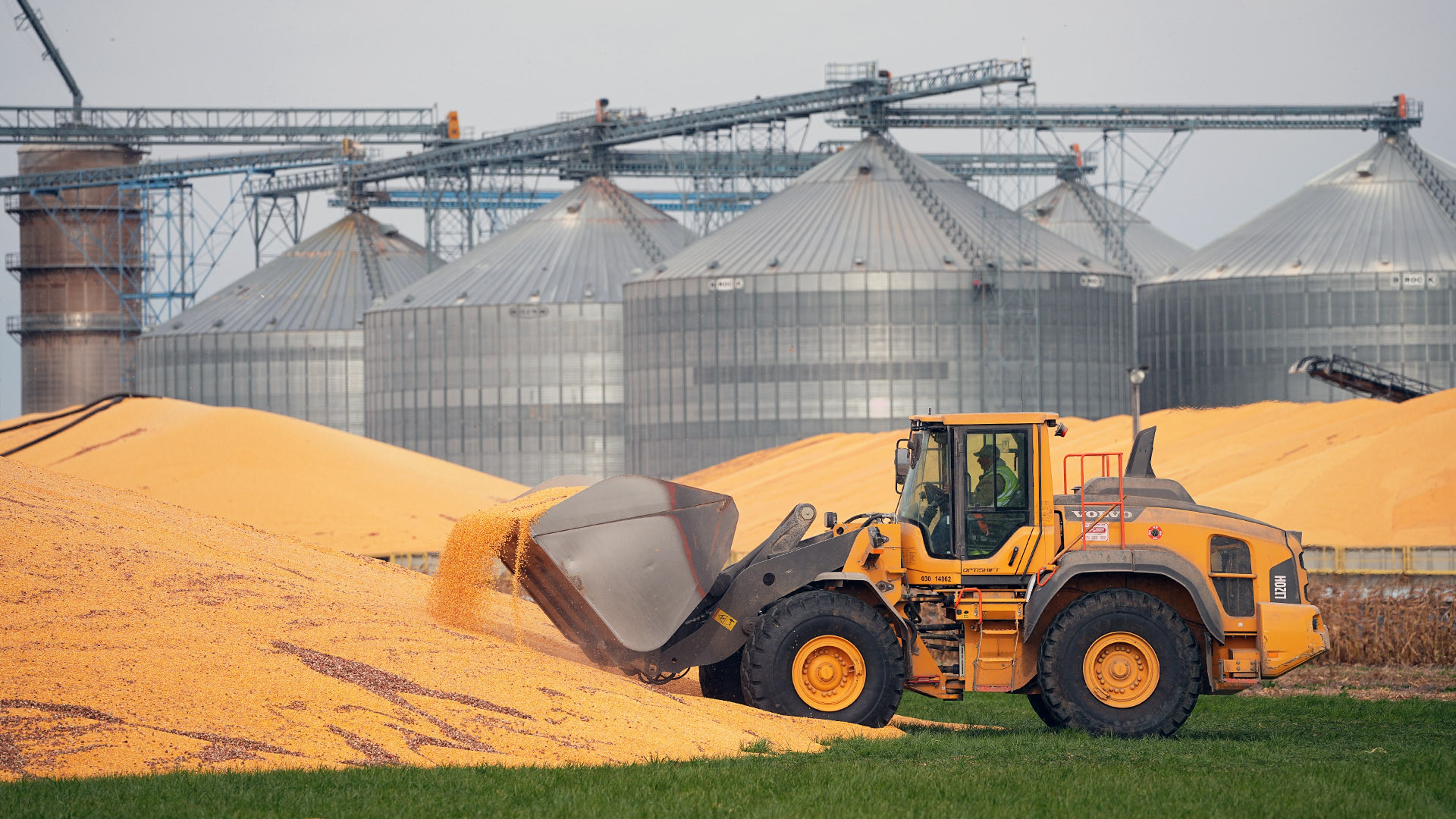 A front-end loader scoops a large pile of grain near grain bins at an agricultural facility.