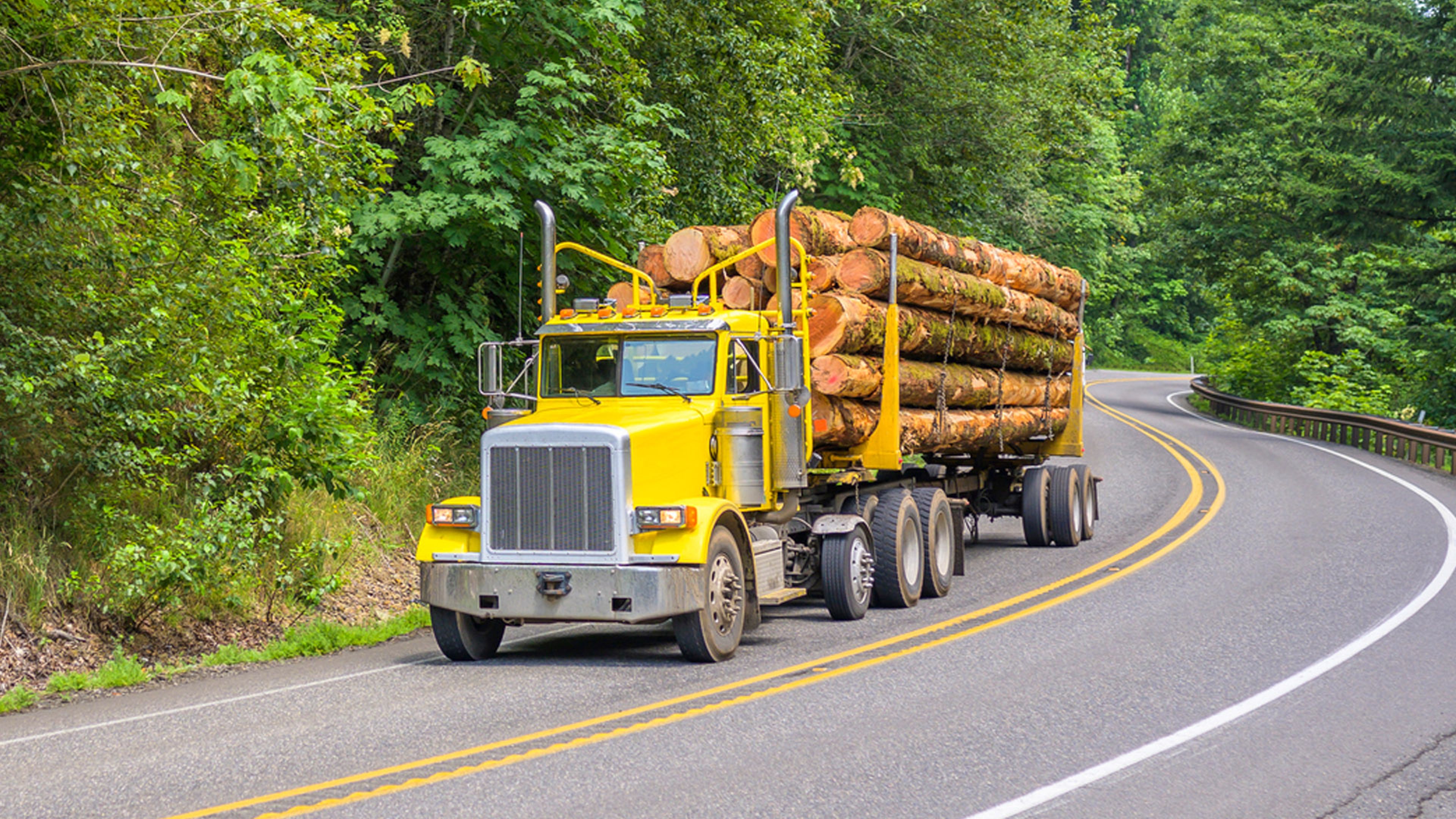 A yellow semi‑truck hauling large logs while driving on a winding road through a forested area.