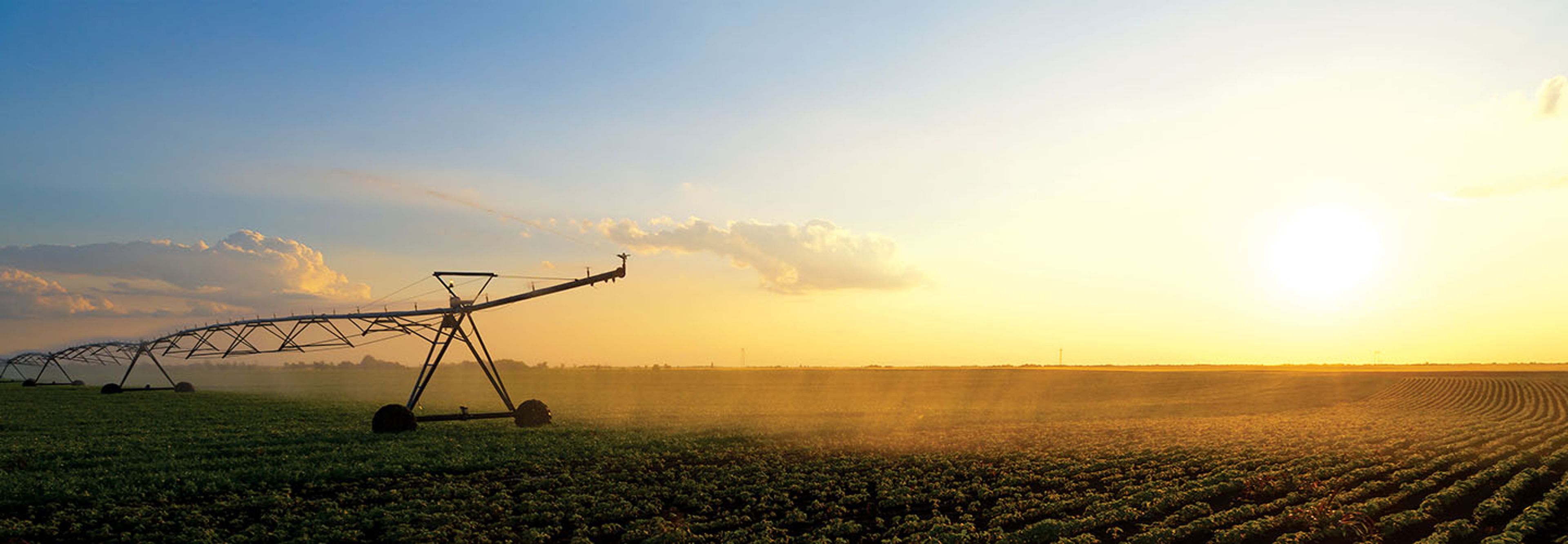 Irrigation system watering a farm field