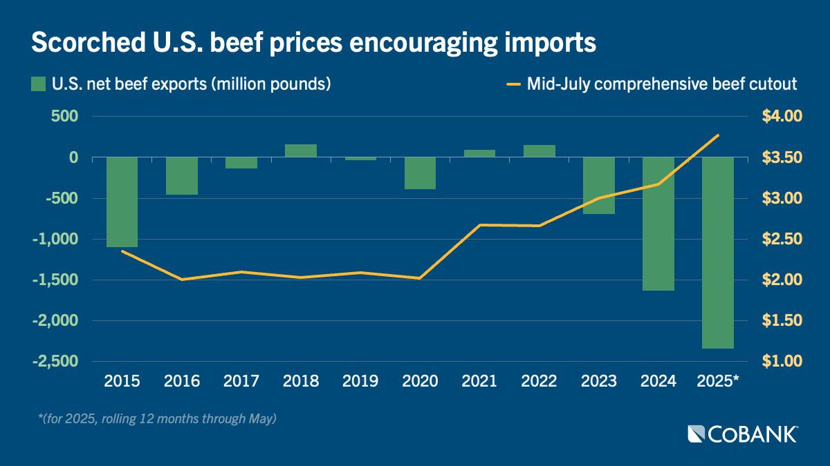 Chart: Scorched U.S. beef prices encouraging imports