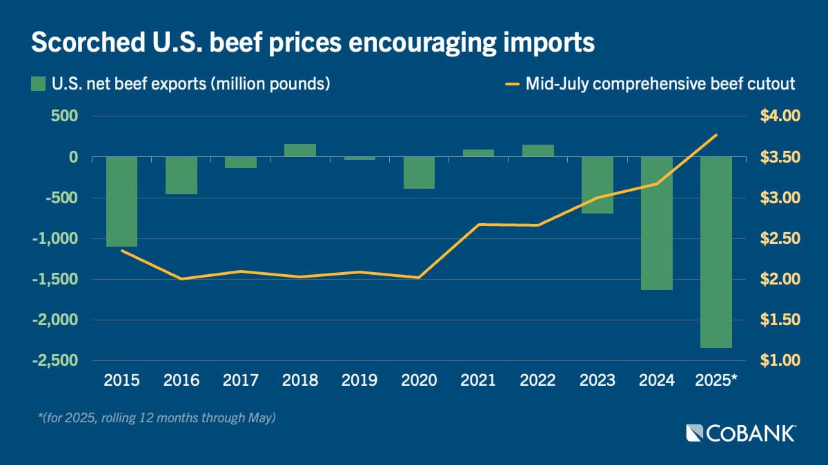 Chart: Scorched U.S. beef prices encouraging imports