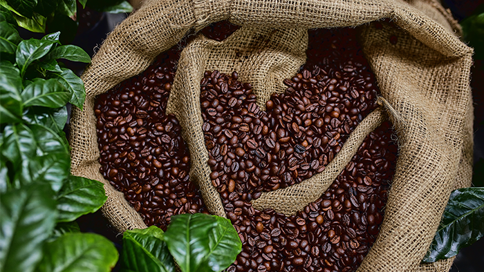 Coffee beans in a burlap sack