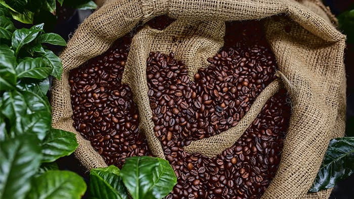 Coffee beans in a burlap sack