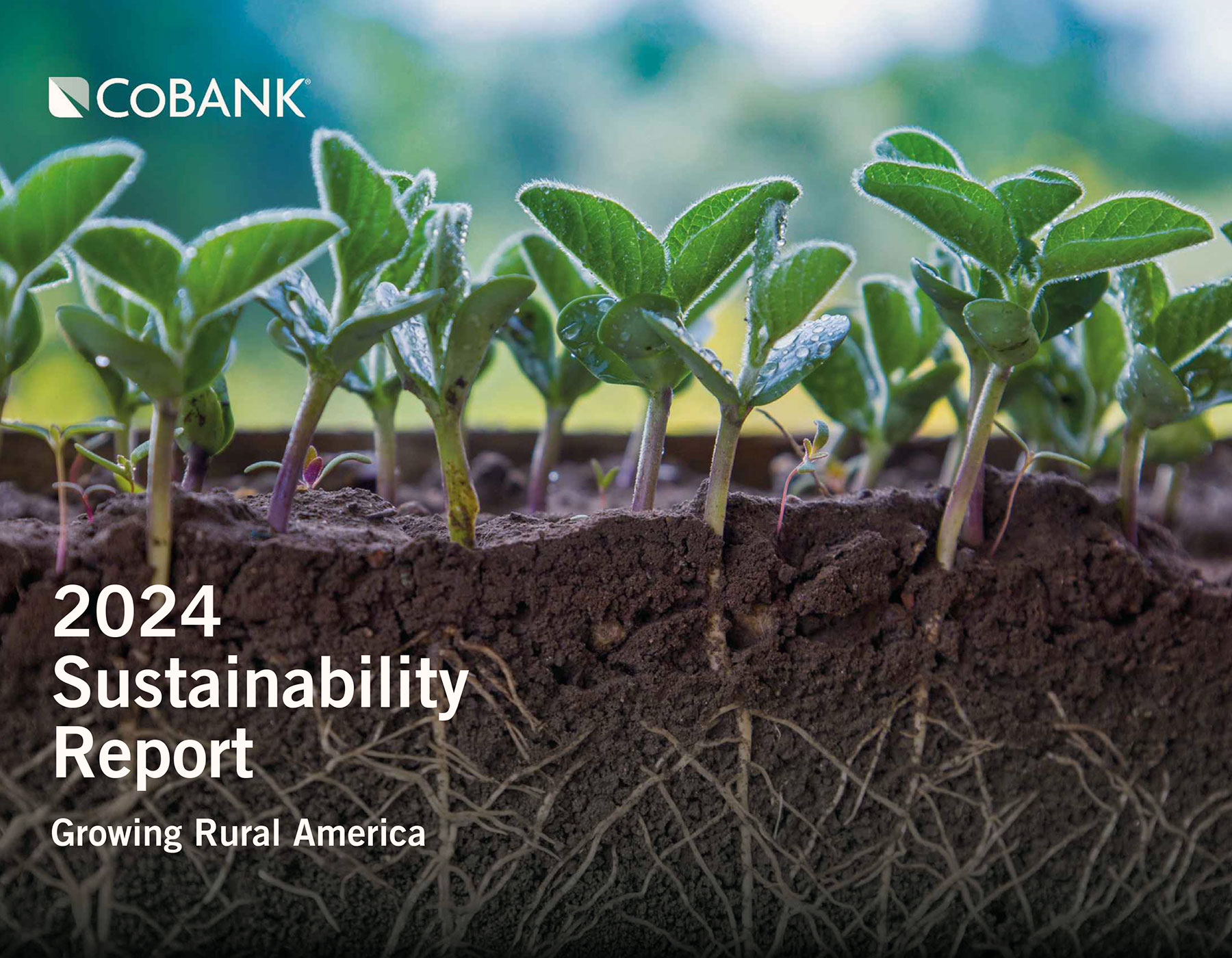 2024 sustainability report cover