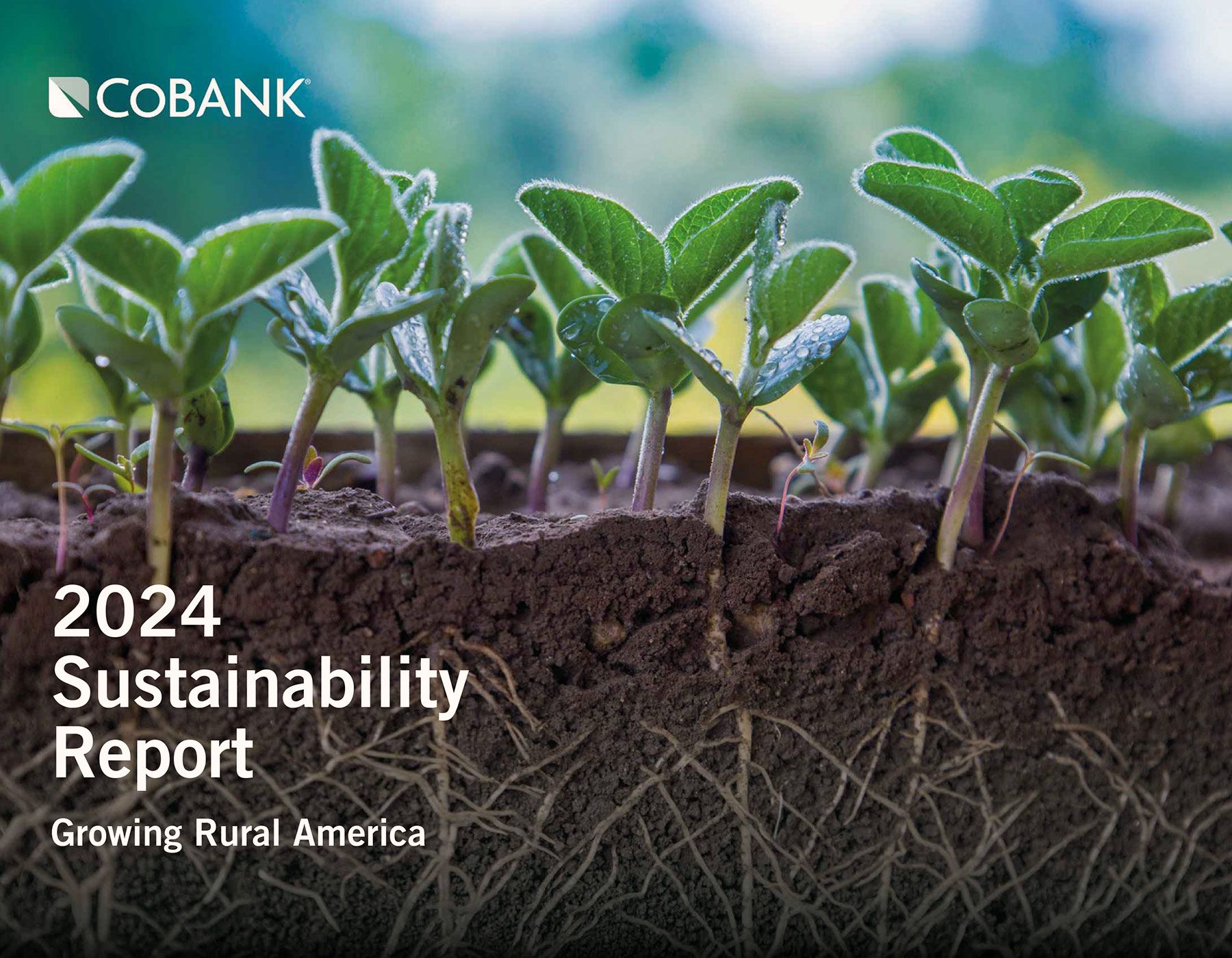 2024 sustainability report cover