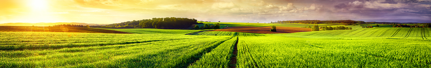Agricultural field on a cloudy day with farm equipment in the distance