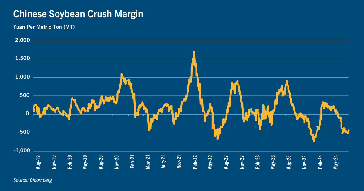 Chart: Chinese soybean crush margin